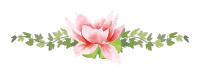 LotusThaiSpa